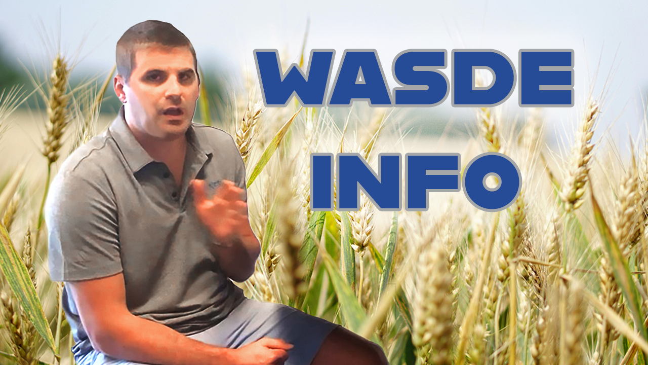 What To Know Before The WASDE (October 2024)