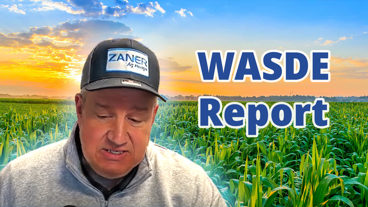 What To Know Before The WASDE - May 2025